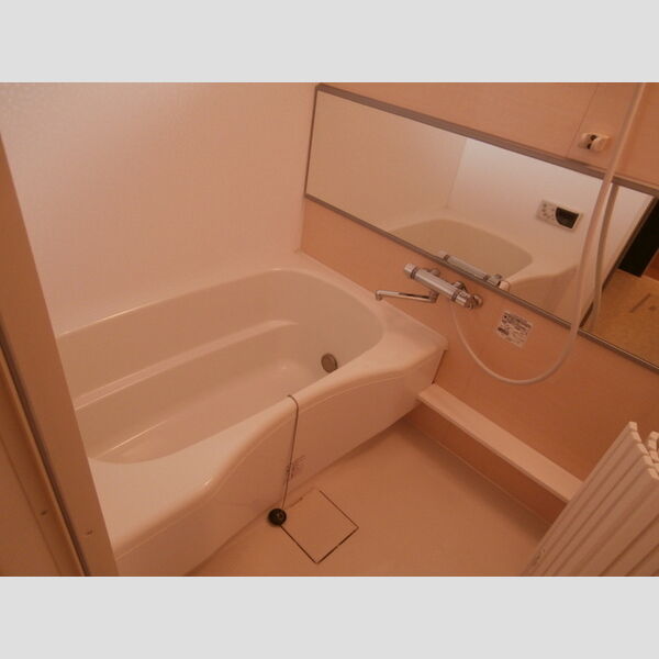 ツインコート　モダンコート202号室 バスルーム