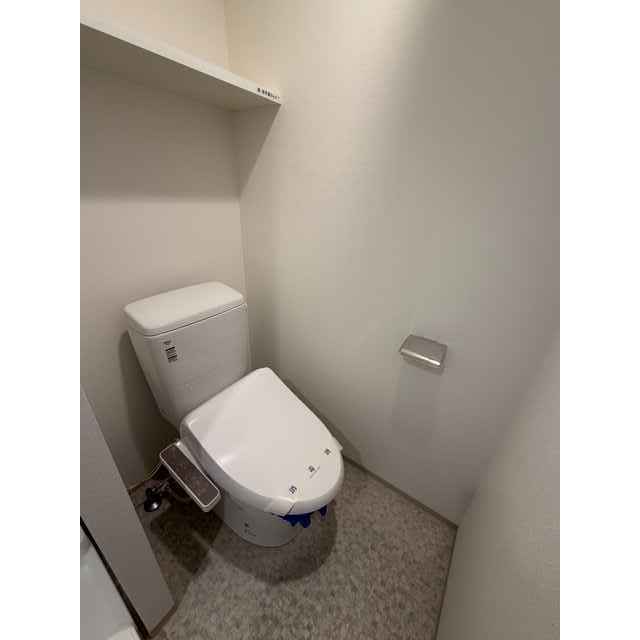 GENOVIA川崎鈴木町skygarden301号室 トイレ