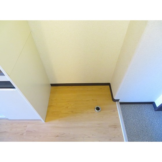 エバーグレース西府0205号室 室内洗濯機置場