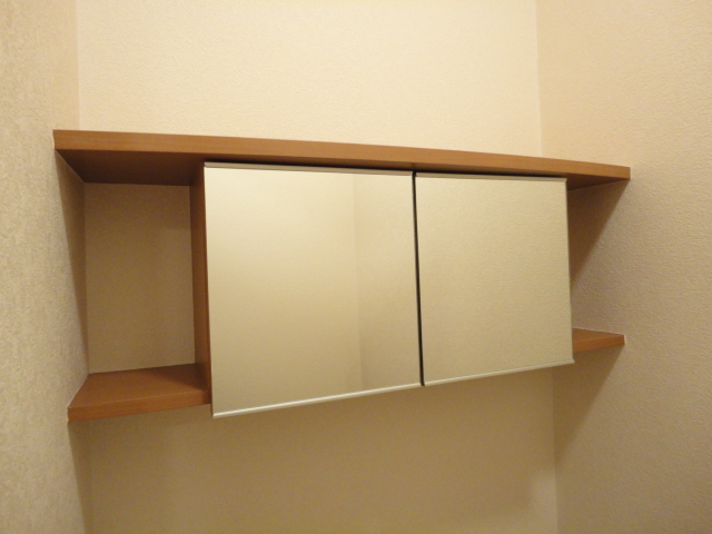 イフェクト301号室 トイレ戸棚
