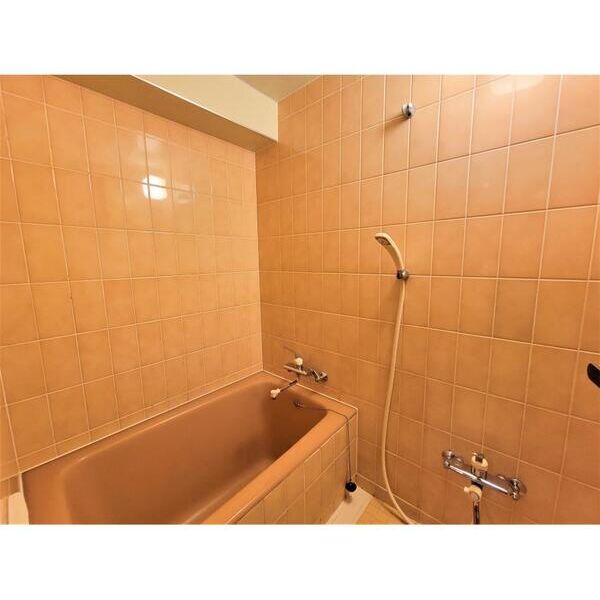 綾東ヴィレッジ弐番館104号室 お風呂