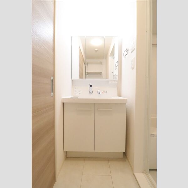 グランジュネス305号室 洗面所