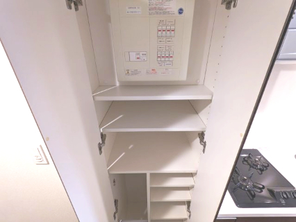 ケーディーエックスレジデンス豊洲424号室 収納