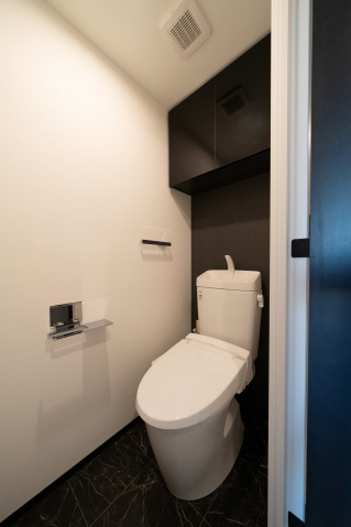 スカイコートルアナ文京本駒込101号室 トイレ