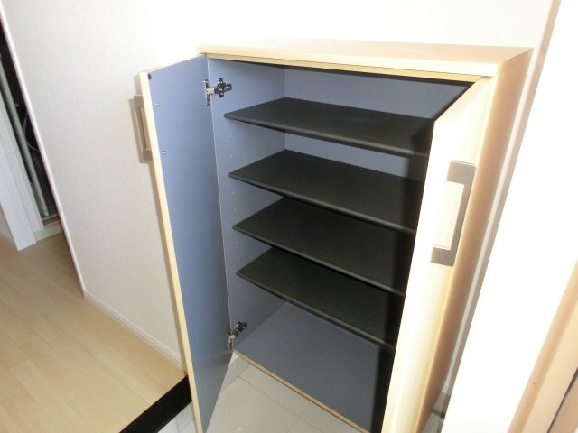 ＩＶＹ　ＣＯＵＲＴ（アイビーコート）103号室 シューズボックス