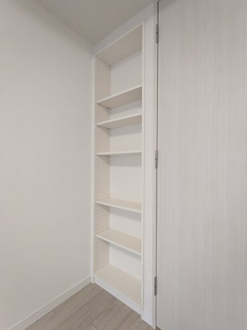 ケーディーエックスレジデンス豊洲213号室 収納