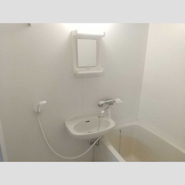 フォレストヴィラ北斗211号室 洗面