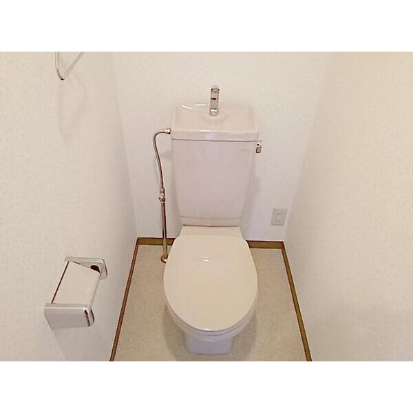 大新ヒルズ306号室 同建物別部屋の参考画像