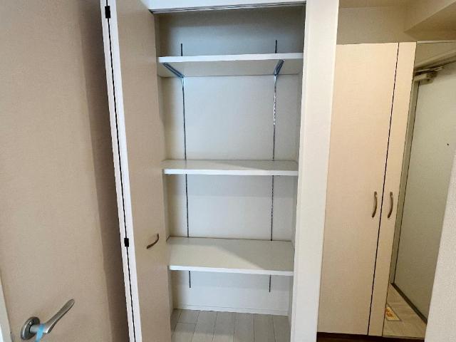 アベリア　コンフェッティ 収納