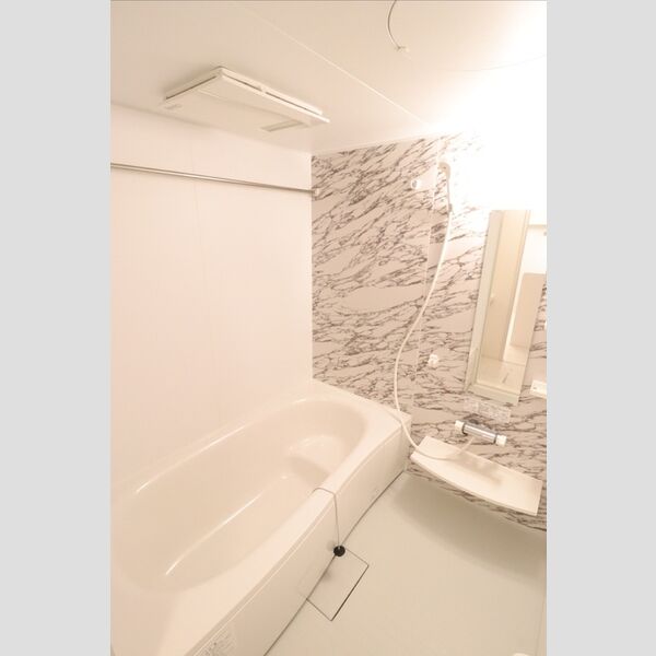 グランジュネス305号室 浴室