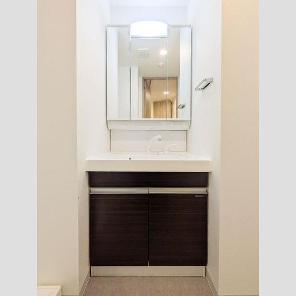 S-RESIDENCE東浦和agua 洗面