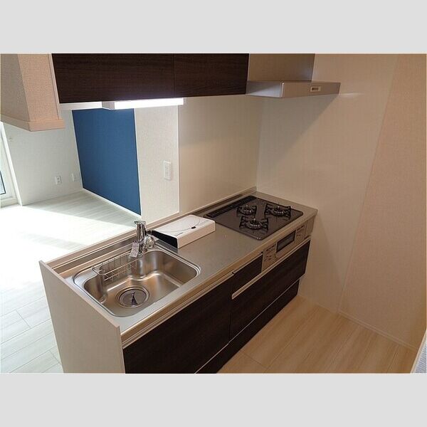 ラッキーレジデンス システムキッチン