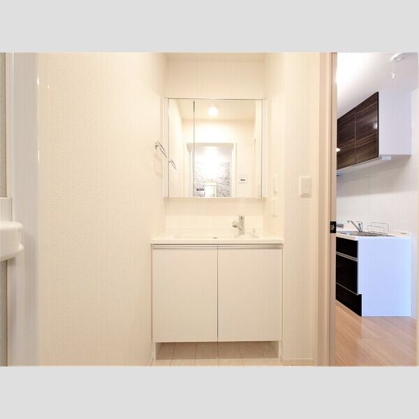 パレス国立303号室 洗髪洗面化粧台