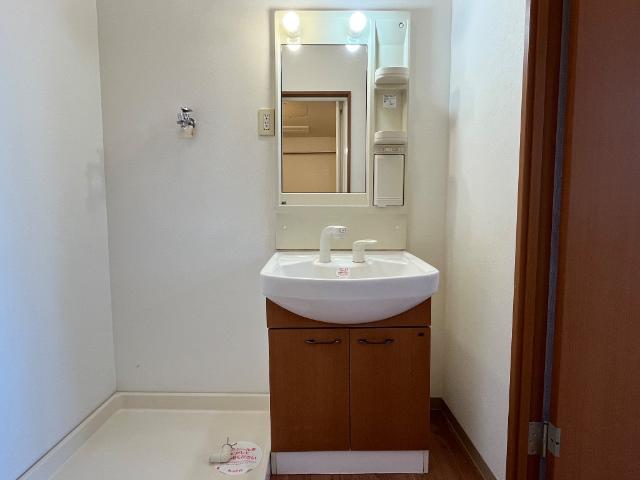 プラム　ツリィ201号室 洗面