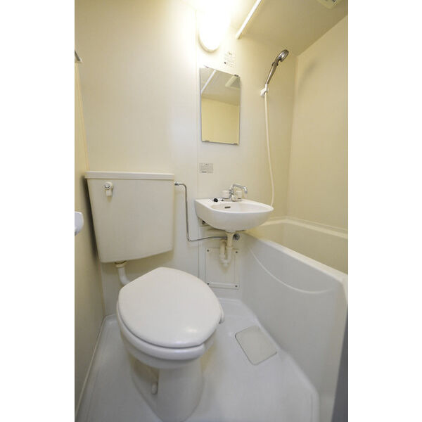 ヒルズガーデン東雪谷0203号室 お風呂