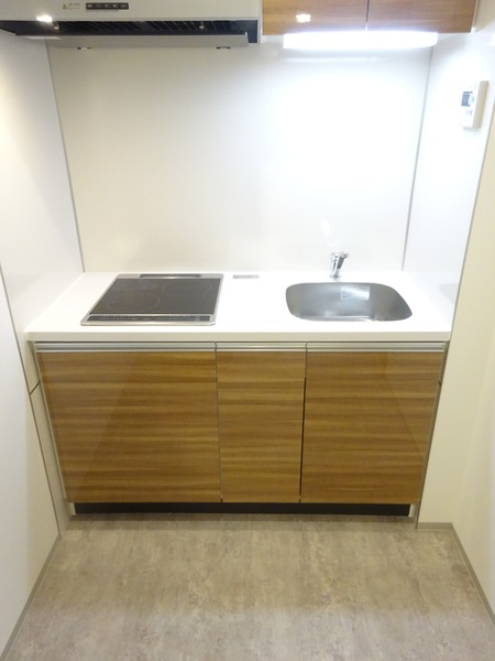 ラフィスタ元町Ⅱ315号室 キッチン