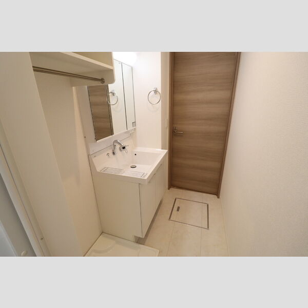 D-room弁天3丁目　B203号室 洗髪洗面化粧台