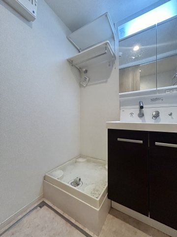 エルファーロ駒沢公園Ⅰ0103号室 洗面