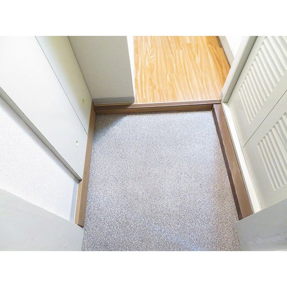 ダイホープラザ鶴見0201号室 玄関