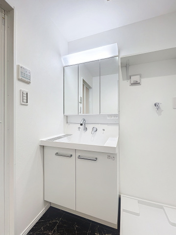 スカイルーチェ南浦和 洗面