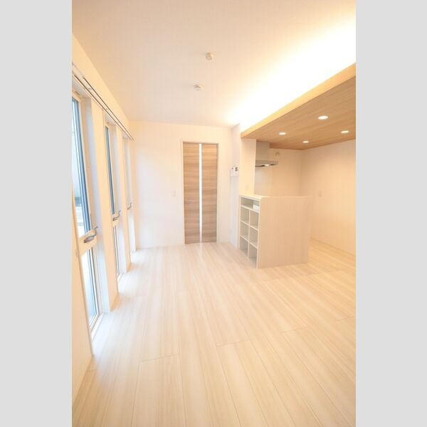 エクセリア上石原101号室 10.7帖のリビング