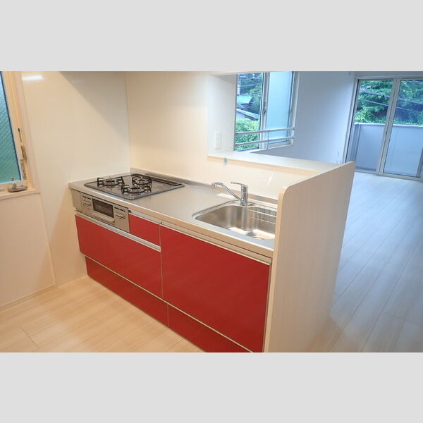 ソフィアⅢ読売ランド201号室 キッチン