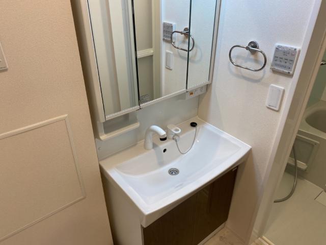 Jour de floraison H（ジュール　ド　フロレゾン　Ｈ）209号室 洗髪洗面化粧台（イメージ）