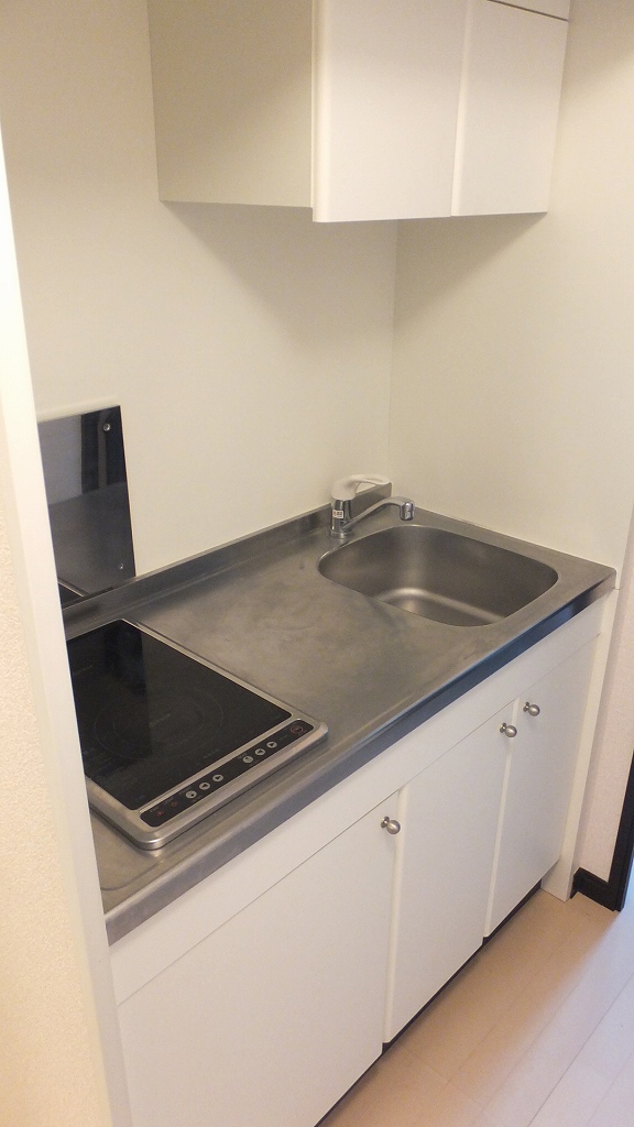 レオネクストＹＡＭＡＺＡＫＩ108号室 ２口ラジエントヒーター