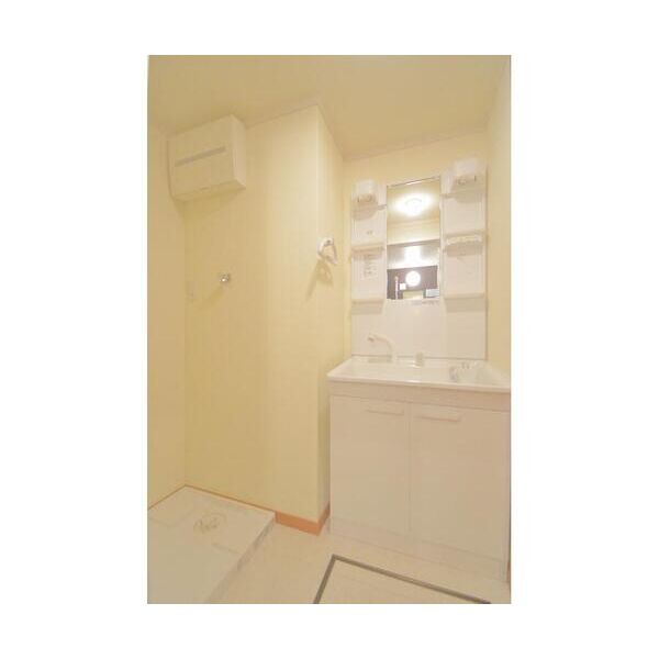 ブライトンテラス荻窪102号室 洗面