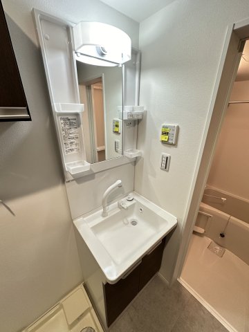 ベイルーム本厚木South 洗面