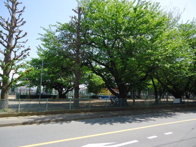 ドリームハウス 北朝霞公園まで1,019ｍ