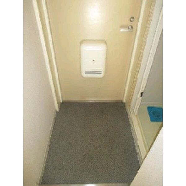 メゾン・ド・プレーヌ0307号室 玄関