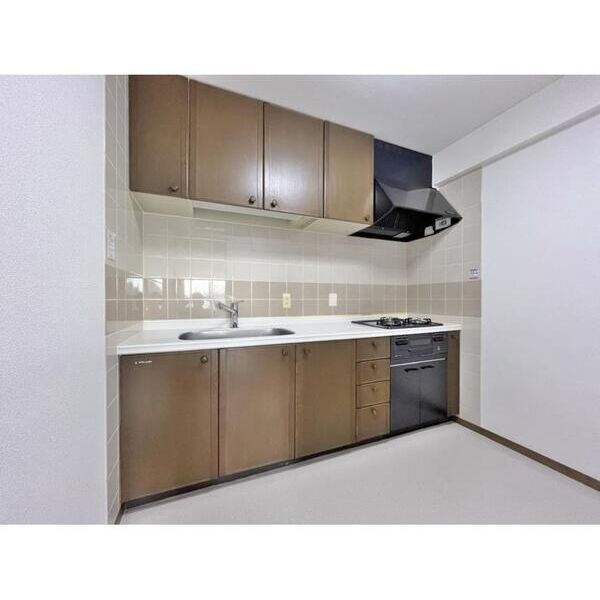 ビラ園生 キッチン