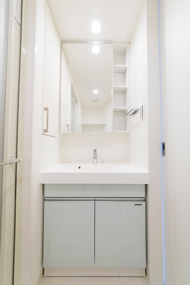 プラウドフラット浅草雷門1202号室 洗面