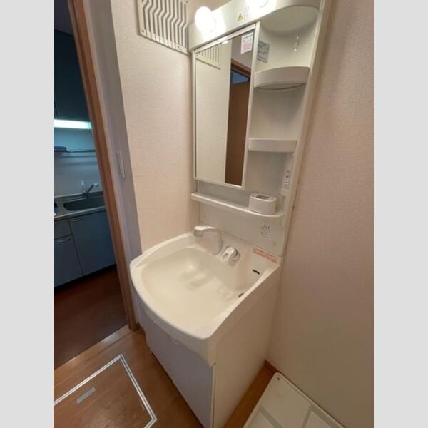 アーバングレース306号室 洗面所