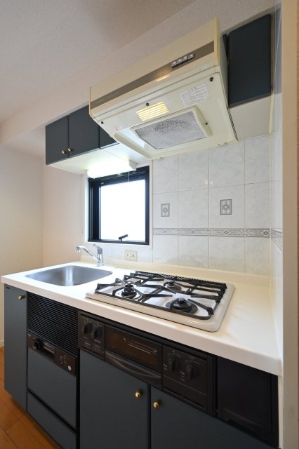 ヴィア・シテラ新宿 キッチン