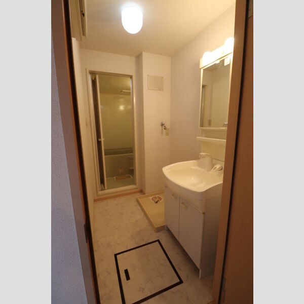 チャオ南狭山N205号室 洗面所