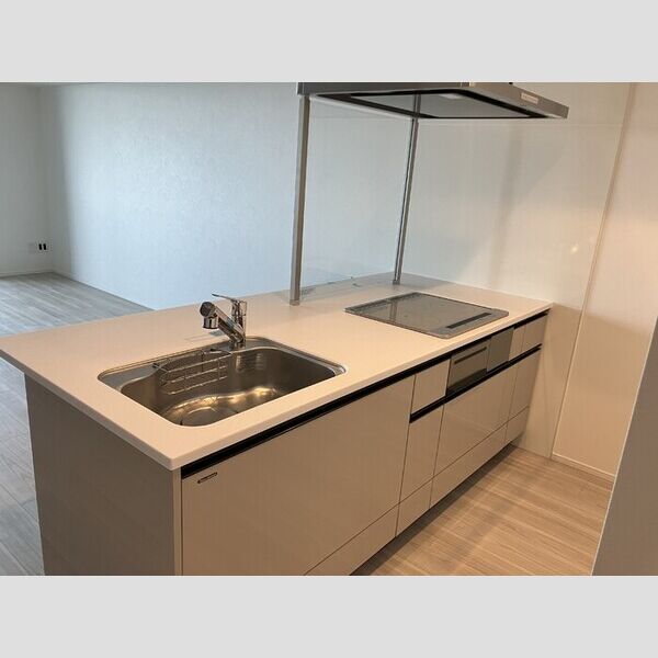 THE RejuvePort KISARAZU1107号室 システムキッチン