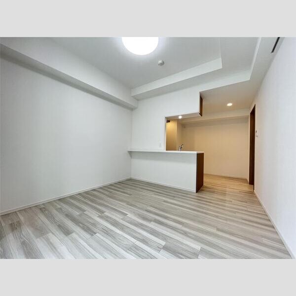 S-RESIDENCE両国serea 玄関