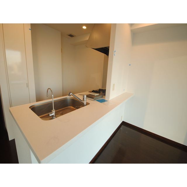 レキシントンスクエア白金高輪1302号室 内観