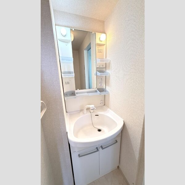 サフィール　A・BB202号室 洗髪洗面化粧台