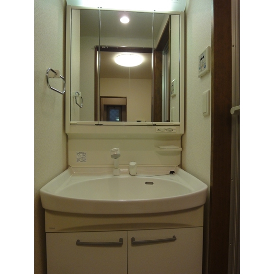 リヴェール睦　白山0501号室 洗面所