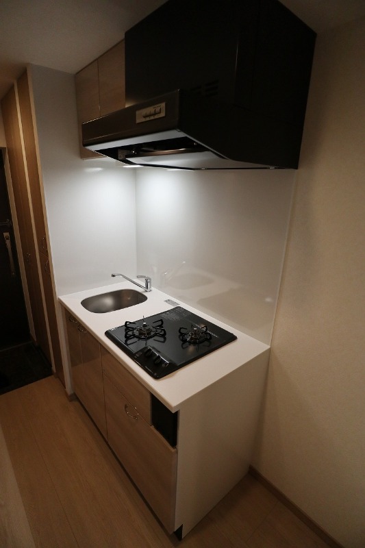 ルーブル武蔵新城参番館 キッチン