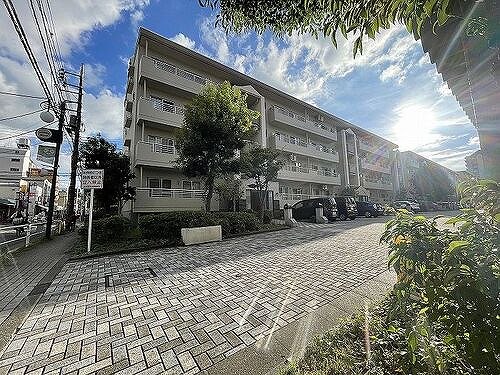 新蓮根団地第１３号棟の外観画像