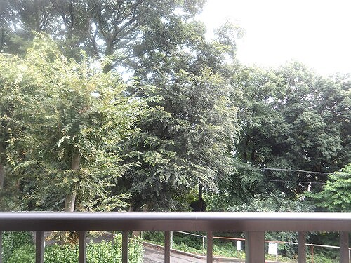 モアコート和光2階 バルコニーからの眺望　※前回募集時2025年9月の写真