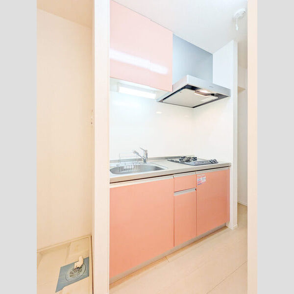 ザーパト・ポーリェ103号室 キッチン