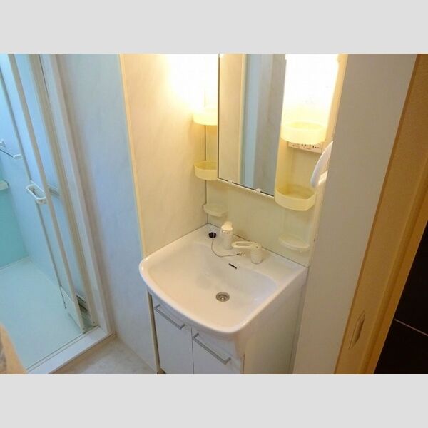 プラムガーデン 洗髪洗面化粧台