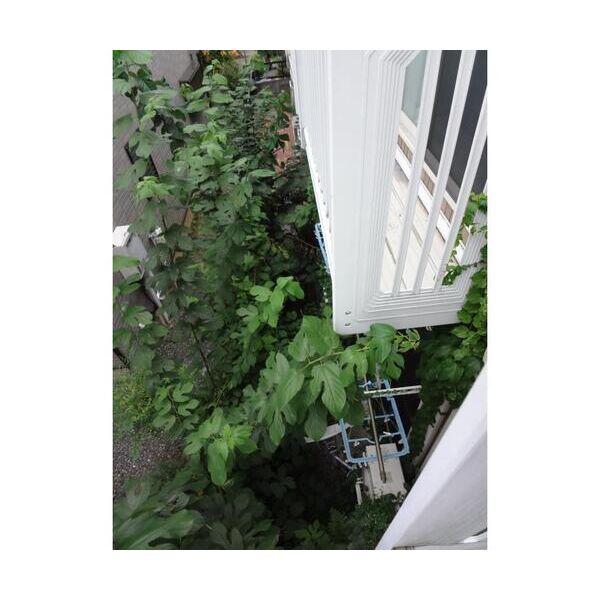 マルチステップ101号室 部屋その他