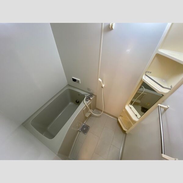 グランディール坂戸三光 バスルーム