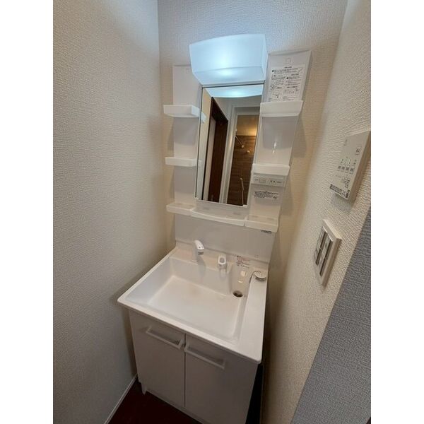 ベレガンス流山松ヶ丘Ⅱ0102号室 洗面